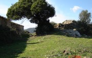 listing-small