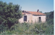 listing-small